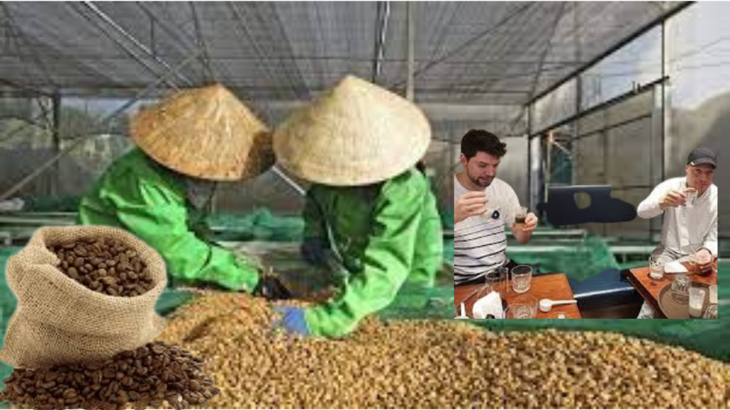 Vietnamesisk Kaffebønner 1 vietnamesisk kaffebønner