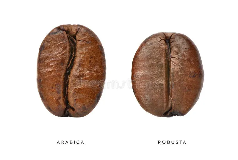 Hvor kan du kjøpe Robusta-kaffe av hele bønne: En komplett guide 1 cafe de frijoles enteros robusta