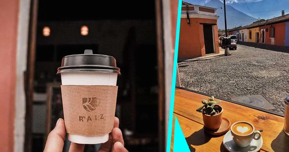 Kjennetegn og hvor du kan kjøpe guatemalansk kaffe av høy kvalitet 1 cafe guatemaltecal de calidad 1