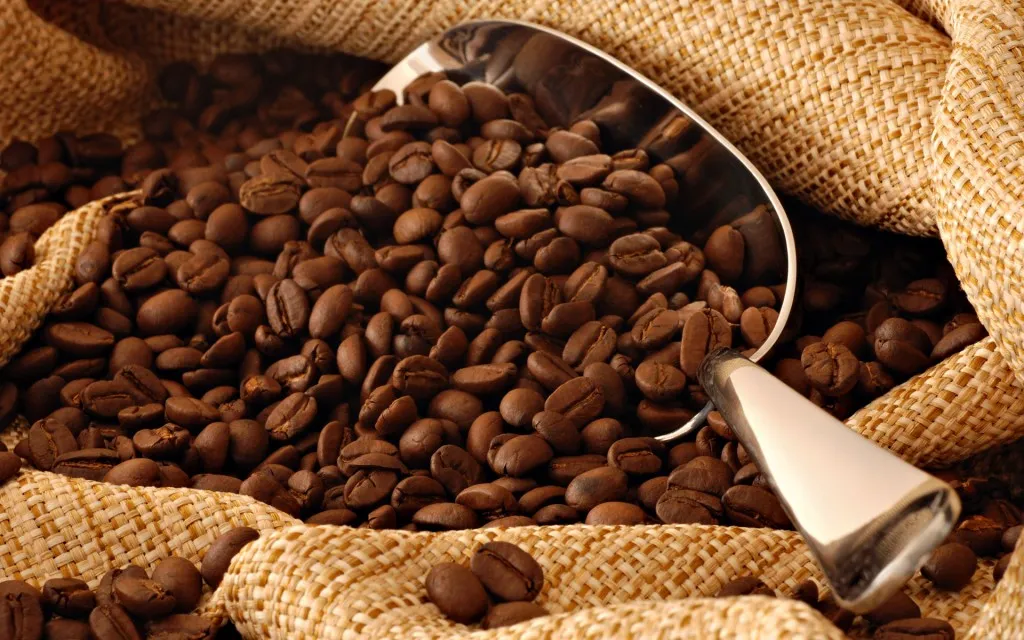 Eksport av meksikansk kaffe til Europa: viktige krav og tips 1 cafe mexicano de calidad