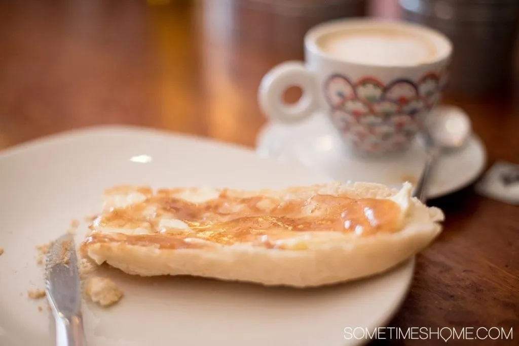 Kafé med katter i Granada: et unikt kattemiljø 1 gatos y cafe en granada