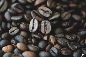 lavazza