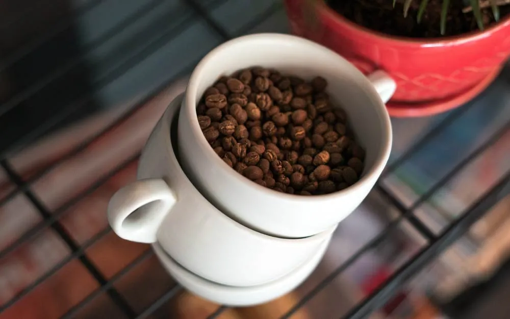 Arabica kaffe: verdsatt og av høy kvalitet 1 taza de cafe arabica